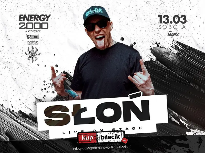 Słoń w Energy 2000 Katowice