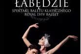 Plakat Royal Lviv Ballet - Jezioro Łabędzie 166041
