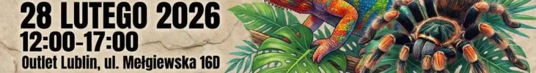 Targi Terrarystyczne Exoticarium + Wystawa Pająków