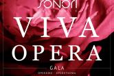 VIVA OPERA. Gala Operowo-Operetkowa z okazji Dnia Matki - największe przeboje z oper i operetek - soliści operowi