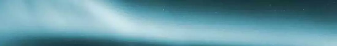 Pijarowski & Nehring