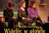Widelec w głowie - Teatr Kamienica