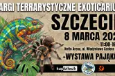 Exoticarium Lokalnie - Targi Terrarystyczne