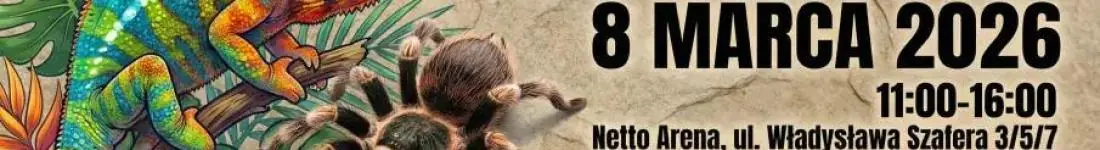 Targi Terrarystyczne Exoticarium + Wystawa Pająków