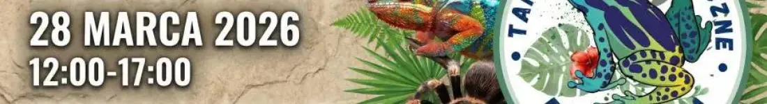 Targi Terrarystyczne Exoticarium + Wystawa Pająków