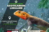 Exoticarium Lokalnie - Targi Terrarystyczne