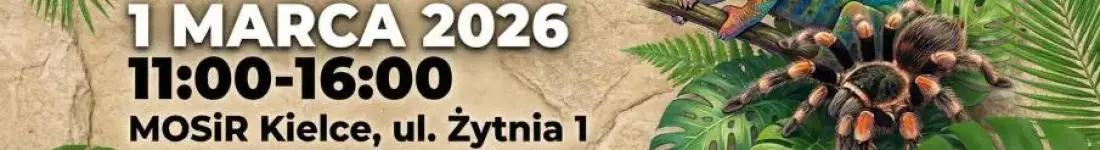 Targi Terrarystyczne Exoticarium + Wystawa Pająków