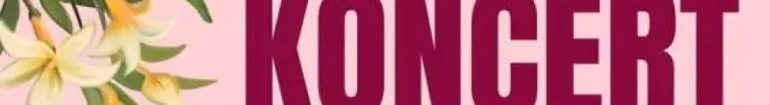 Dla Ciebie Mamo - Koncert Krzysztofa Koniarka