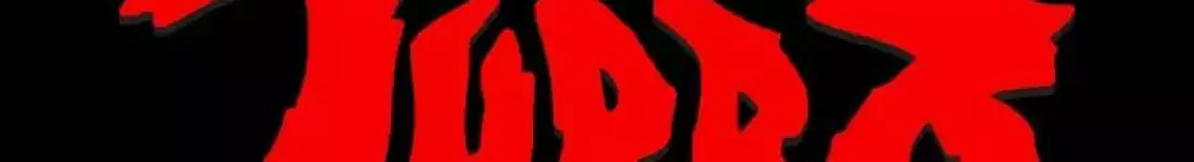 Koncert AKUSTYCZNY TURBO w Nowej Soli