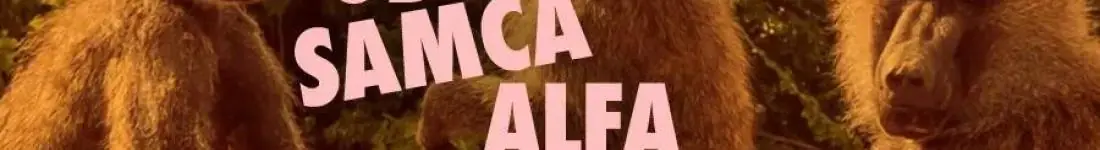 Od Samca Alfa po Samca Sigmę: alfabet najgorszych typów - spektakl impro