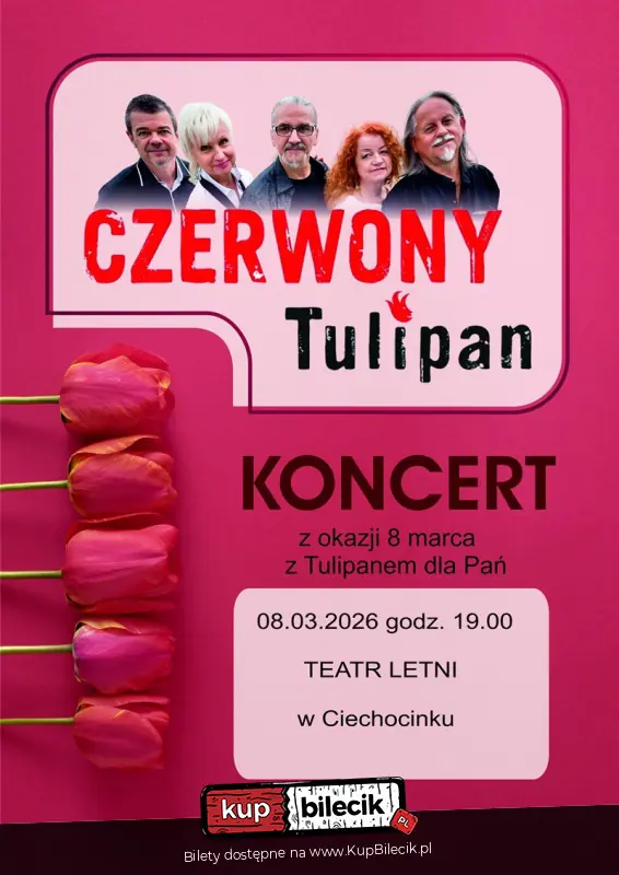 Czerwony Tulipan