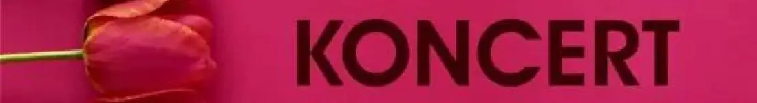 Dzień Kobiet z Czerwonym Tulipanem