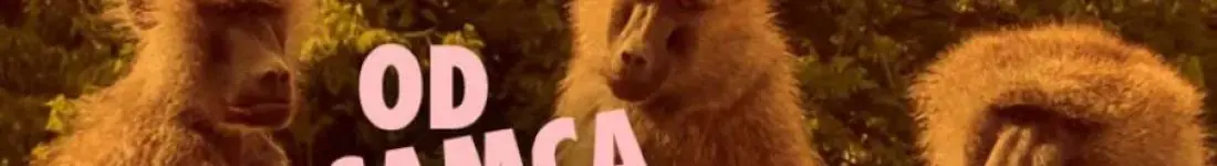 Od Samca Alfa po Samca Sigmę: alfabet najgorszych typów - spektakl impro