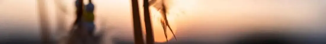 Karawana opowieści - opowieści szamańskie