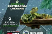 Exoticarium Lokalnie - Targi Terrarystyczne