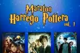 Harry Potter - 10 Fèves brillantes - Super U Hyper U - 2023 Films
