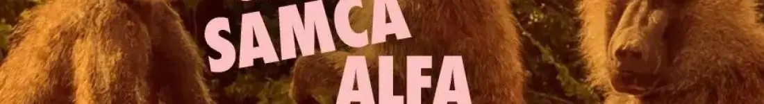 Od Samca Alfa po Samca Sigmę: alfabet najgorszych typów - spektakl impro