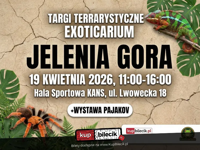 Exoticarium w Jeleniej Górze! Targi Terrarystyczne i Wystawa Pająków