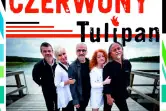 Czerwony Tulipan