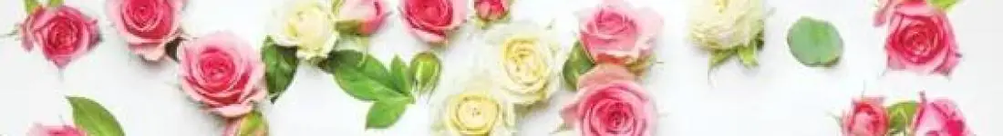 Wiosenna Gala Operetki Przystanek Kęty