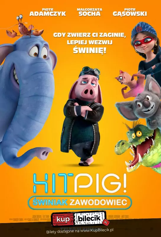 Hitpig. winiak zawodowiec