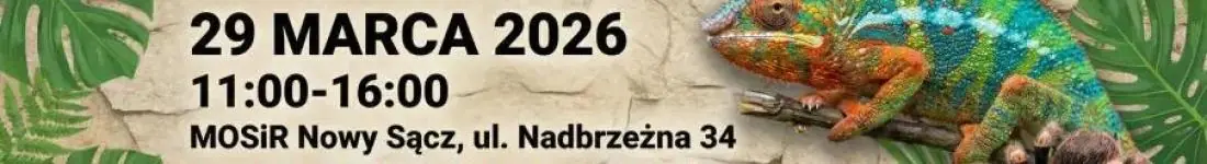 Targi Terrarystyczne Exoticarium + Wystawa Pająków