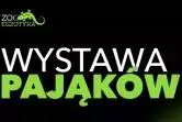 Wystawa Pająków