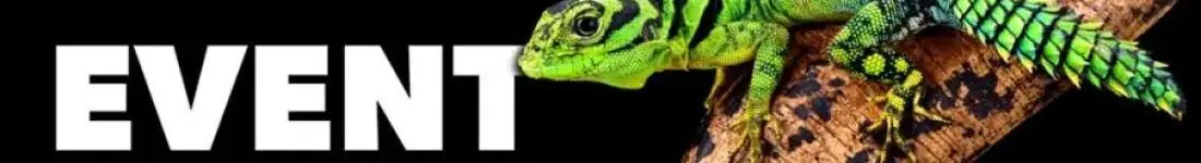 ZooEgzotyka Warszawa