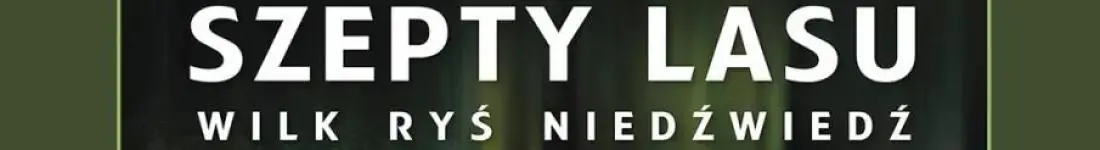 Seans filmowy