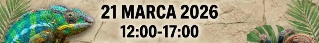 Targi Terrarystyczne Exoticarium + Wystawa Pająków