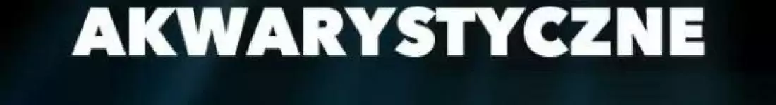 Targi Akwarystyczne WROCŁAW 14.12.2025