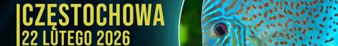 Targi Akwarystyczne Częstochowa