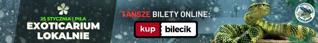 EXOTICARIUM LOKALNIE Targi Terrarystyczne Piła dwudniowe 24-25 stycznia