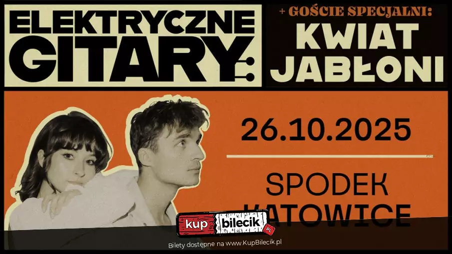 Elektryczne Gitary