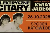 Elektryczne Gitary