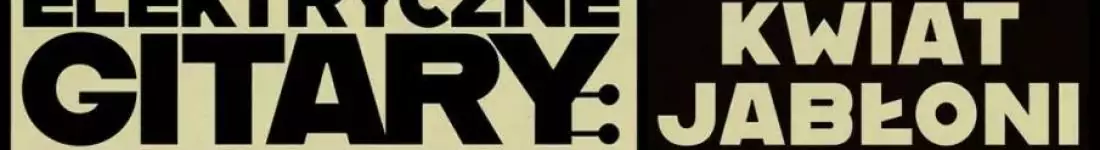 Elektryczne Gitary wyruszają w trasę koncertową "W cieniu sufitów"!
