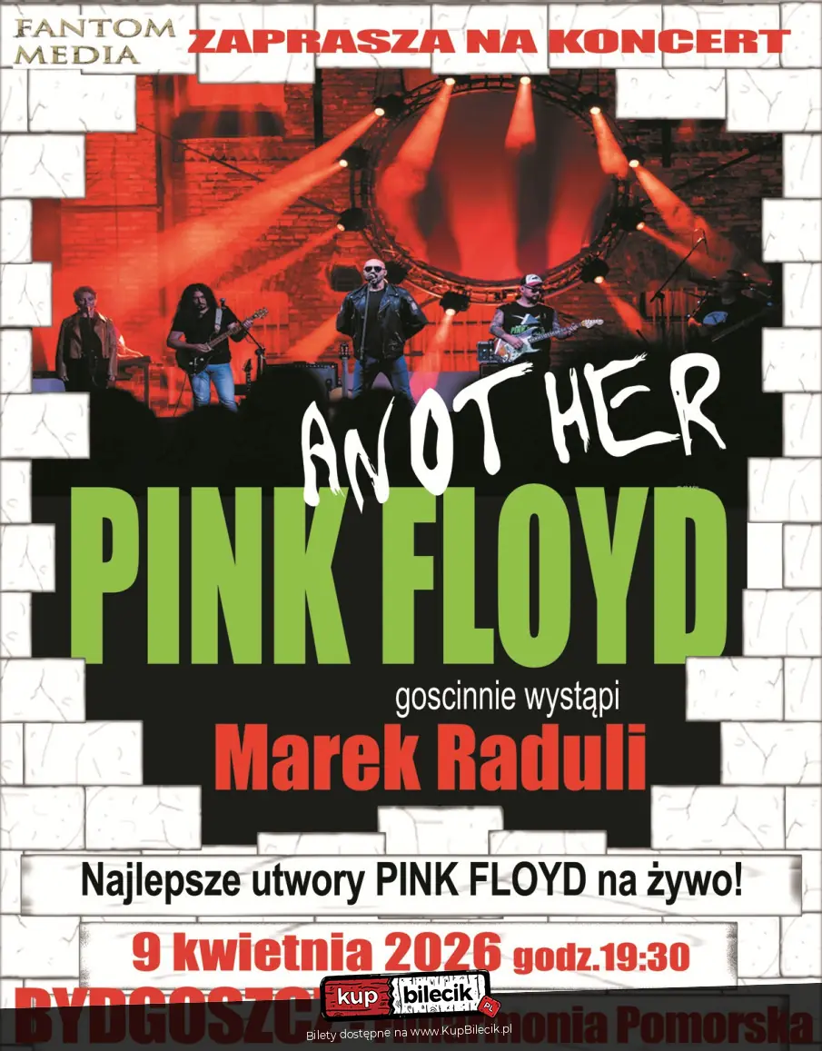 Another Pink Floyd Tribute Band