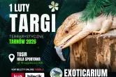 Exoticarium Lokalnie - Targi Terrarystyczne