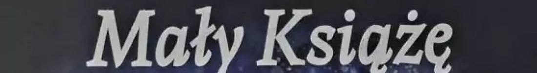 Spektakl w wykonaniu Katarzyny Perkowskiej