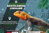 Exoticarium Lokalnie - Targi Terrarystyczne
