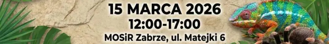 Targi Terrarystyczne Exoticarium + Wystawa Pająków