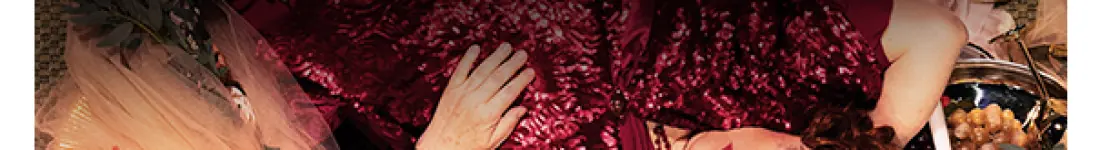 Dom weselny - dwie siostry i wesele