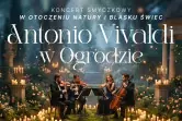 Candle Live Music: Koncerty przy świecach