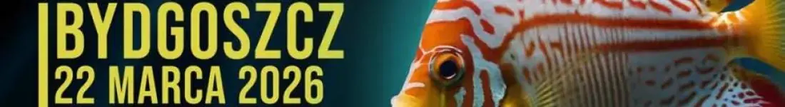 Targi Akwarystyczne Warszawa!