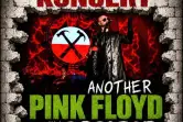 Another Pink Floyd Tribute Band