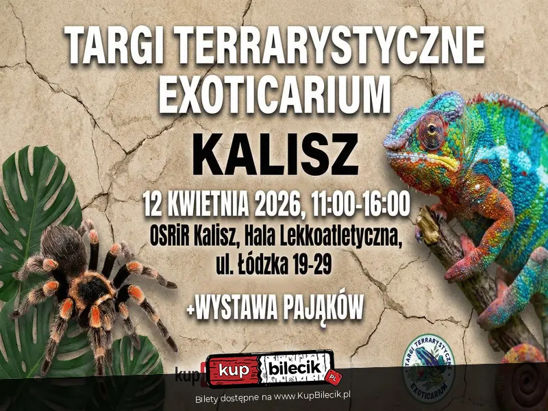 Exoticarium - Targi Terrarystyczne w Kaliszu! + Wystawa Pająków