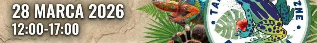 Targi Terrarystyczne Exoticarium + Wystawa Pająków