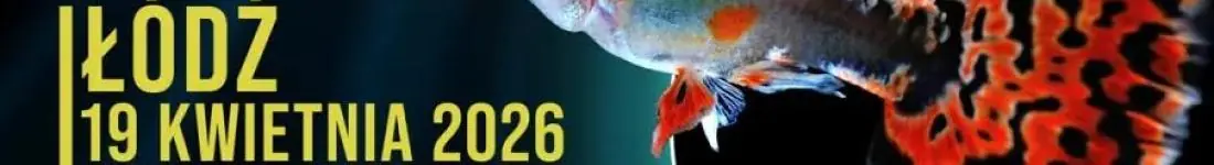 Targi Akwarystyczne Łódź!