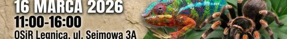 Targi Terrarystyczne Exoticarium + Wystawa Pająków