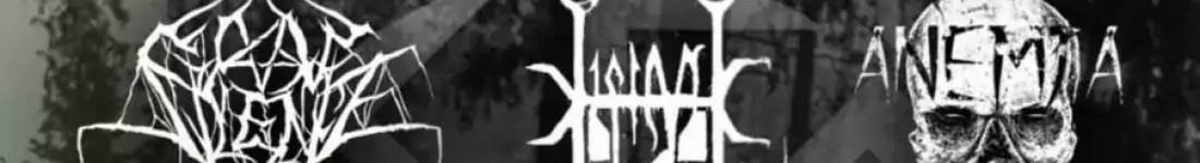 Słowiańskie Odrodzenie - koncert metal/punk